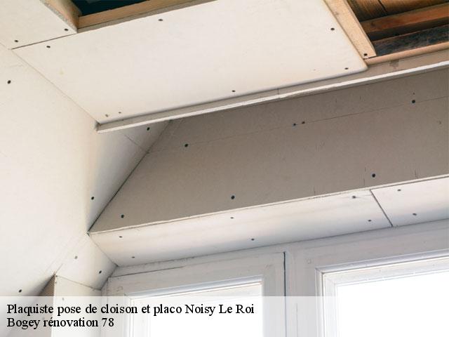 Plaquiste pose de cloison et placo 78590