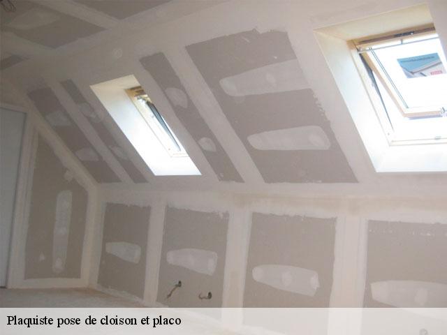 Plaquiste pose de cloison et placo 78590