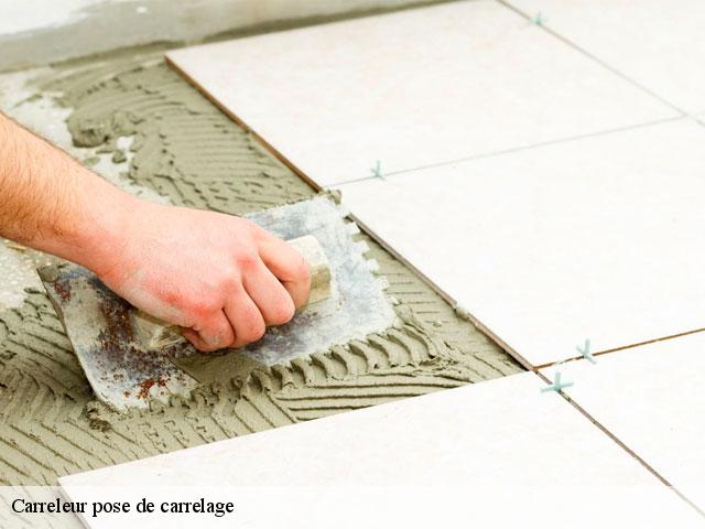 Carreleur pose de carrelage  78410